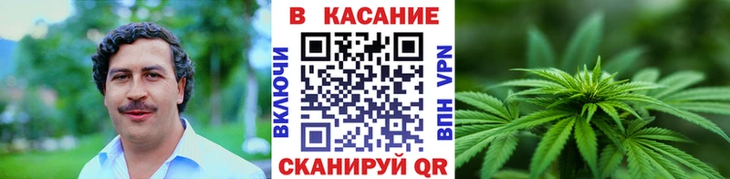Купить наркотик Шадринск A-PVP  Галлюциногенные грибы  Кокаин  Меф  Гашиш  Каннабис 