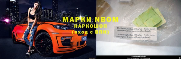 PSILOCYBIN Алзамай