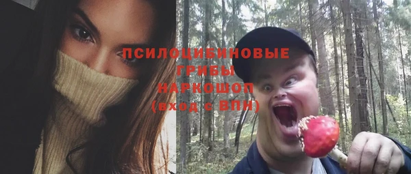 PSILOCYBIN Алзамай