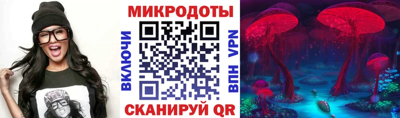 Галлюциногенные грибы мухоморы  даркнет состав  Шадринск  купить  цена 