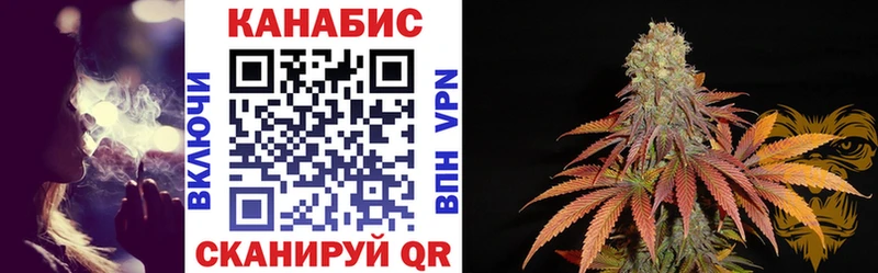 Бошки марихуана OG Kush Шадринск